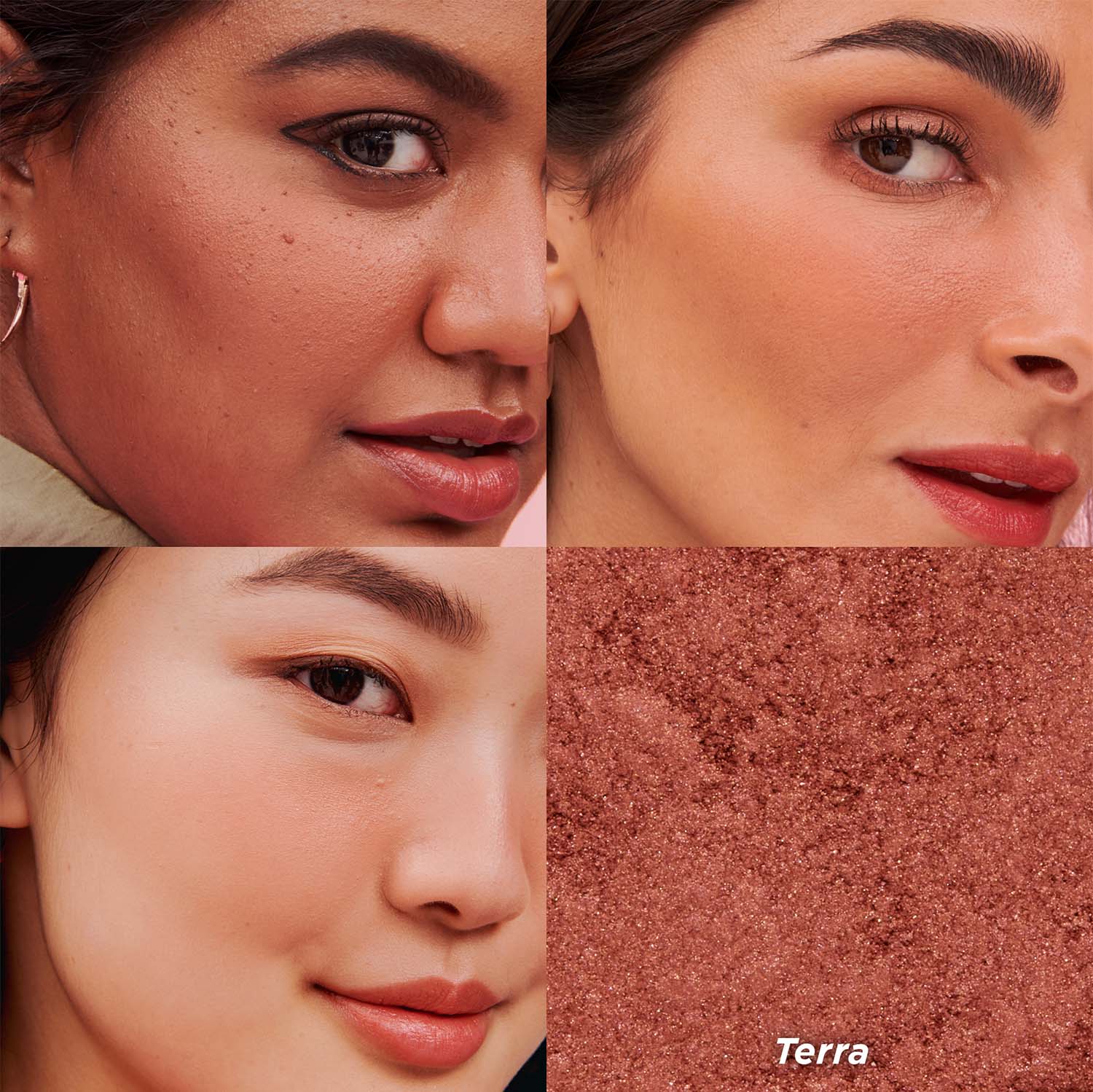 BOX O´POWDER BLUSH (RUBOR EN POLVO)